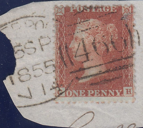 113616 PL.14 (CH)(SPEC C6).