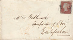 114329 PL.161 (EH)(SG8) ON COVER.