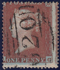 117044 PL.201 (TG CONSTANT VARIETY)(SG17).