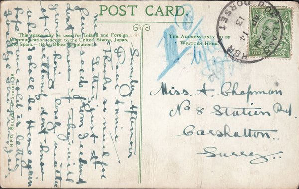 117703 1913 DORSET/'PORTLAND HBR DORSET' SKELETON STYLE DATE STAMP.