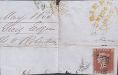 118100  PL.157 (SG8)(BG).