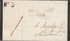 119586 1838 DORSET/'SHAFTESBURY PENNY POST' (DT461).