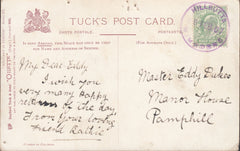 119936 1907 DORSET/'HILLBUTTS WIMBORNE' RUBBER DATE STAMP IN PURPLE.