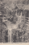 74273 - ISLE OF WIGHT. 1905 post card of The Chine Shankli...