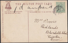 75476 - 1905 UNDERPAID MAIL USED LOCALLY IN TIVERTON. Post card