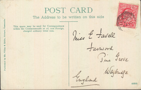 75798 - 1906 MAIL TASMANIA TO WEYBRIDGE. Post card from Tasmania or thereabouts to Weybridge, Surrey ...