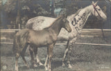 82581 - 1905 UNDERPAID MAIL HUNGARY TO HEREFORD/RE-DIRECTED.