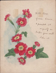 88531 - 1903 HAND PAINTED POST CARD/FLOWERS.  KEDVII ½d blue-green post card (crease) Grangemouth to Br...