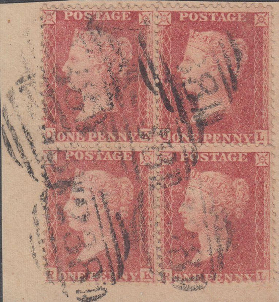 96002 - PL.60 (QKQLRKRL)(SG40). Small piece with fine u...