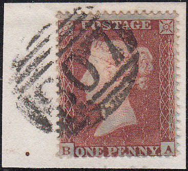 97865 - RES.PL.5 (BA)(SG17). Small piece with very fine us...